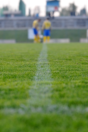 campo